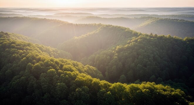 Aerial view of rolling hills covered in lush green forest, bathed in the soft light of sunrise. - Powered by Adobe