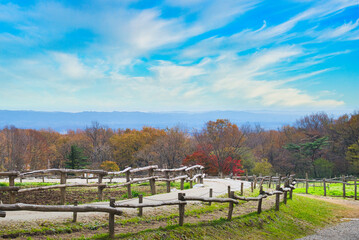 秋晴れの空の下、観光牧場からの素晴らしい眺望