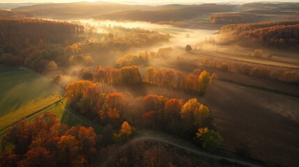 Golden autumn sunrise over misty forest and rolling hills