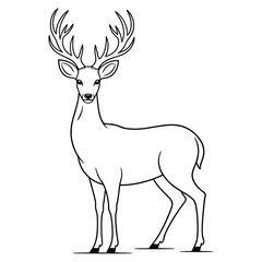 deer vector illustration