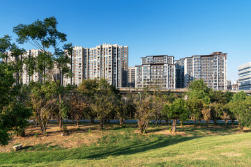 spring park and modern city