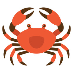 red crab on white background