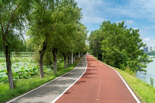 New pathway and beautiful trees track for running or walking and cycling relax in the park