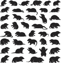 Three beautiful black and white rose illustrations: line art, solid silhouette, and detailed graphic versions for design.