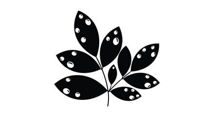 A black and white botanical illustration of leaves with scattered holes a striking silhouette