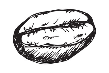 Hand drawn fresh roasted coffee bean Arabica robusta seed doodle Single element for print, web, design, decor