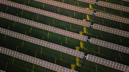 Fototapeta premium Aerial view of solar panels aligned in rows generating renewable energy on a green field under sunlight.
