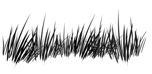 Grass transfer PNG black file featuring detailed black grass elements for digital design, artwork.