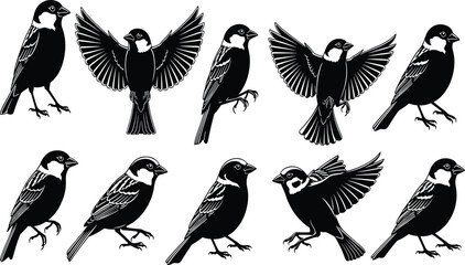 Collection of black and white sparrow illustrations in various poses bird silhouette