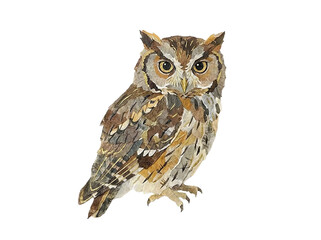 Washi Paper Oscillated Owl Illustration
