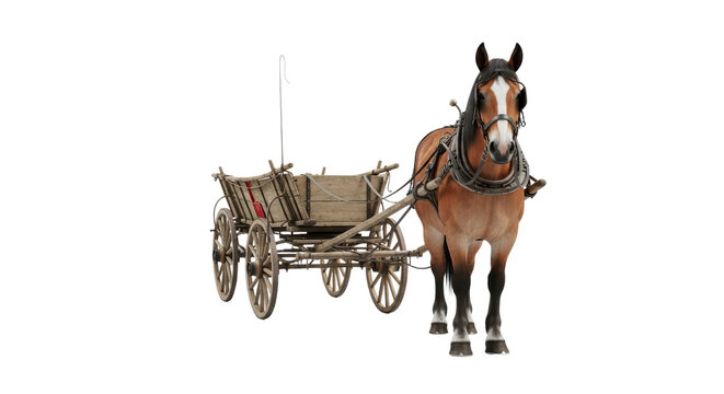 Horse and wooden cart isolated PNG with Transparent Background