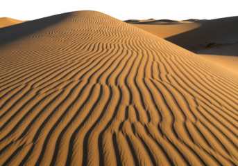 Sand dunes with rippled patterns in the desert isolated on transparent background
