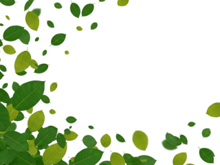 A dynamic cascade of vibrant green and yellow leaves drifts across a contrasting black background, evoking seasons and natural beauty.