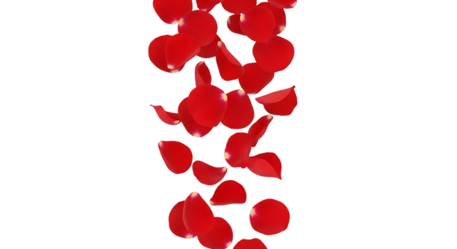 Red rose petals falling in a cascade isolated on transparent background
