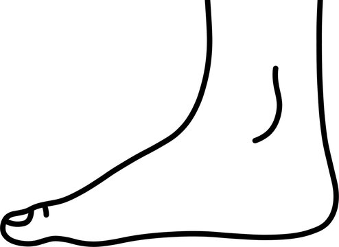 평발 흑백