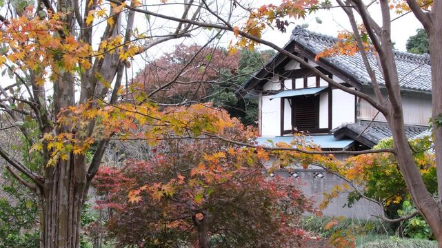 紅葉と蔵
