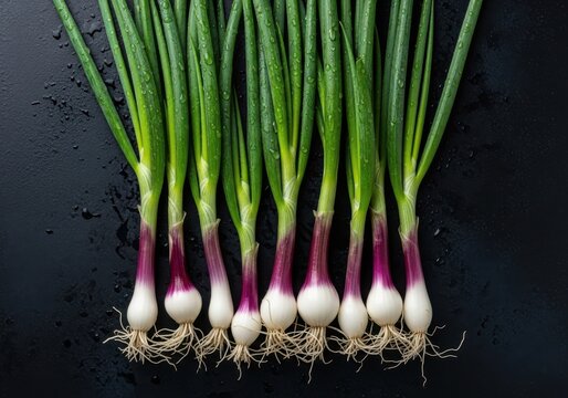 Freshly harvested young green onions with purple red bulbs and intact roots on a dark textured surface