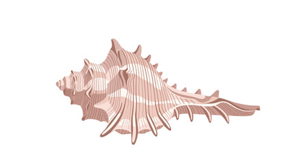 Fototapeta premium Vector illustration of a detailed pink conch seashell with prominent spines, isolated on a clean white background, evoking tropical beach themes.