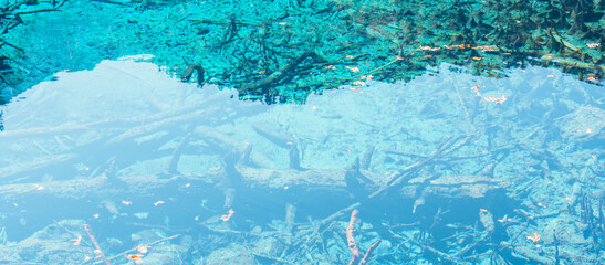 Scenery Jiuzhaigou national park in Sichuan, China. Beautiful clear water of Five Flower Lake in Autumn season. Famous Landmark and Vacation near Chengdu, China. Asia travel concept