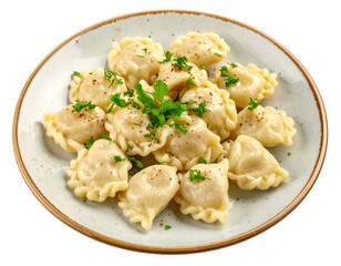Plate of freshly cooked dumplings garnished with herbs on a ceramic dish with a rustic design