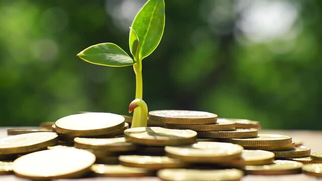 A young plant sprouts from a stack of coins, symbolizing financial growth and investment opportunities in a sustainable future