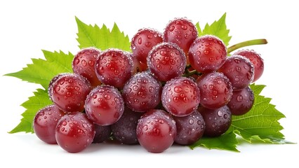 Fresh Red Grapes with Water Droplets on Green Leaf Isolated on White
