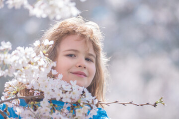 Obraz premium Cute blonde kid boy in spring garden. Little child under a blossom tree. Happy kid playing under blooming cherry tree. Kid with flower on Easter. Adorable kid in blooming cherry garden on spring day.
