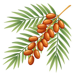 Realistic Date Palm Branch with Ripe Fruits