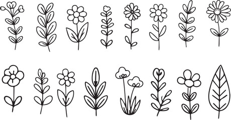 Set of vector floral illustrations