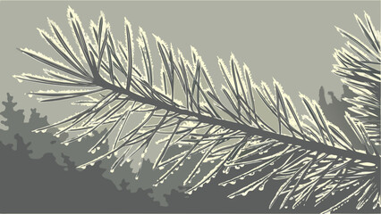 Close up of pine tree branch with ice crystals winter nature landscape evergreen forest christmas tree art