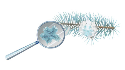 Explore winter nature with magnifying glass examining snowflakes on pine tree branch close up for winter season