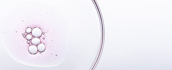 A sample of body cosmetics in a Petri dish. Copy space