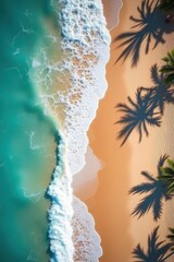 Aerial view of a tropical beach with turquoise water and palm trees