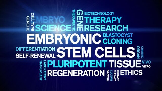 Embryonic Stem Cells animated word cloud-text design animation tag kinetic typography seamless loop.