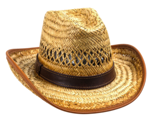 Straw cowboy hat with brown band and trim