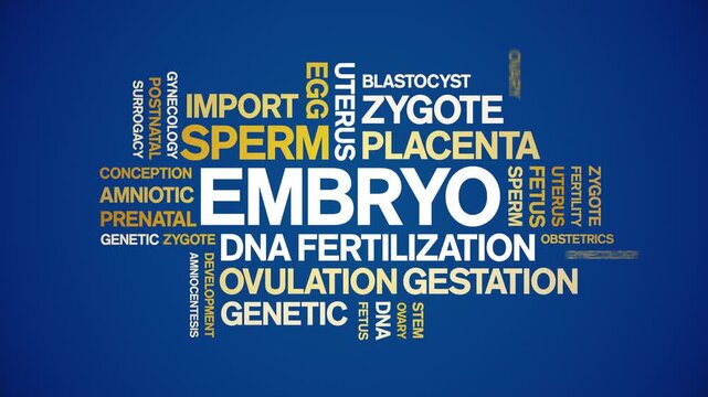 Embryo animated word cloud-text design animation tag kinetic typography seamless loop.