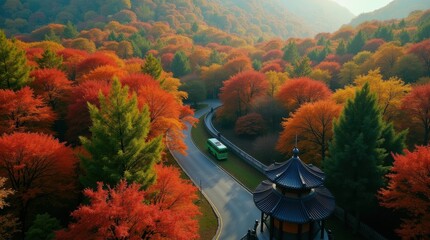 Aerial view of a winding road through a vibrant autumn forest with a train