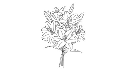 Ornamental Mandala Line Art Page