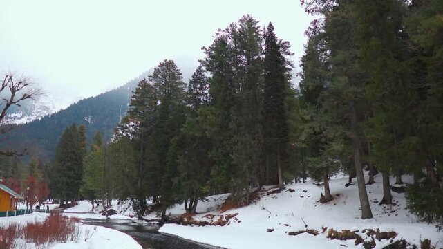 Scenic view of Lidder river flowing besides the pine tree forest with riverbanks covered by snow during the winter season as seen from Betaab Valley near Pahalgam in Jammu and Kashmir, India.