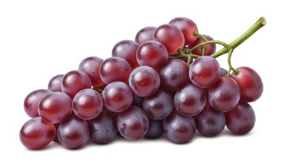 Glossy Grape Food Design
