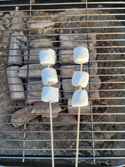 Toasting Marshmallows Over Charcoal Grill