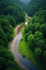 Aerial view of a winding river flowing through a lush green forest
