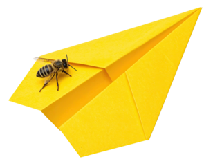 Bee resting on a bright yellow paper airplane