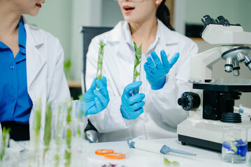 Food scientists in lab coats, testing samples, and analyzing food safety and quality in a modern laboratory environment.