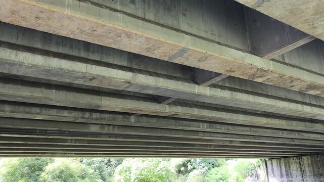 Under bridge beams, concrete supports, wild vegetation, sunlight illuminating structure.
