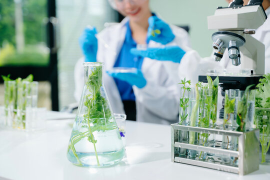 Food scientists in lab coats, testing samples, and analyzing food safety and quality in a modern laboratory environment.