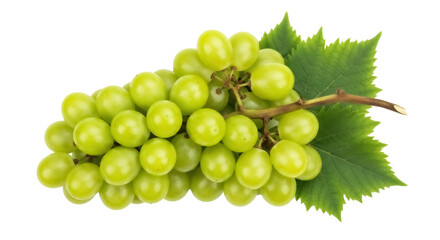 Bunch of green grapes with leaves isolated PNG, fresh fruit on transparent background for healthy eating and summer designs