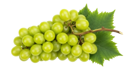 Bunch of green grapes with leaves isolated PNG, fresh fruit on transparent background for healthy eating and summer designs