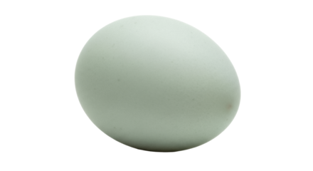 Araucana chicken egg isolated PNG on transparent background, pastel green egg with a smooth shell for Easter and culinary design