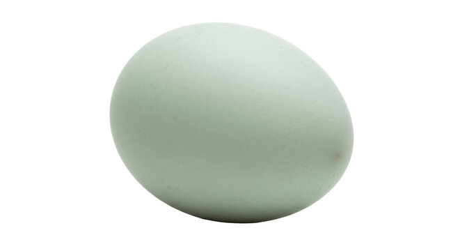 Araucana chicken egg isolated PNG on transparent background, pastel green egg with a smooth shell for Easter and culinary design